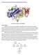 fossum/files/2012/01/10 Enzymes.pdf