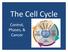 The Cell Cycle Cy Control, Phases, & Cancer