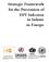Strategic Framework for the Prevention of HIV Infection in Infants in Europe