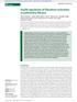 Hsp90 regulation of fibroblast activation in pulmonary fibrosis