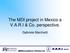 The MDI project in Mexico a V.A.R.I & Co. perspective. Gabriele Marchetti