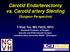 Carotid Endarterectomy vs. Carotid artery Stenting (Surgeon Perspective)