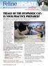 TRIAGE OF THE DYSPNOEIC CAT : IS YOUR PRACTICE PREPARED?