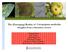 The (Emerging) Reality of Corynespora cassiicola: Insights from a literature review