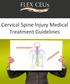 Cervical Spine Injury Medical Treatment Guidelines