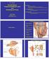 Parotid Gland, Temporomandibular Joint and Infratemporal Fossa