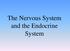 The Nervous System and the Endocrine System