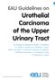 EAU Guidelines on Urothelial Carcinoma of the Upper Urinary Tract