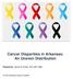 Cancer Disparities in Arkansas: An Uneven Distribution. Prepared by: Martha M. Phillips, PhD, MPH, MBA. For the Arkansas Cancer Coalition
