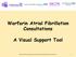 Warfarin Atrial Fibrillation Consultations A Visual Support Tool