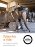 Taken for a ride. The conditions for elephants used in tourism in Asia