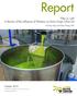 Report. Filter or not? A Review of the Influence of Filtration on Extra Virgin Olive Oil. October Courtney Ngai and Selina Wang, PhD
