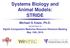 Systems Biology and Animal Models: STRIDE