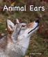 Animal Ears. by Mary Holland