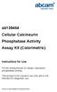 ab Cellular Calcineurin Phosphatase Activity Assay Kit (Colorimetric)