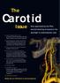 Carotid. The. Issue. Now approved by the FDA, carotid stenting moves into the spotlight in endovascular care.