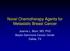 Novel Chemotherapy Agents for Metastatic Breast Cancer. Joanne L. Blum, MD, PhD Baylor-Sammons Cancer Center Dallas, TX