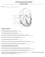 ANATOMY AND PHYSIOLOGY HOMEWORK CHAPTER 11 AND 12