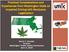 Practical Considerations and Experiences from Washington State on Impaired Driving with Marijuana Legalization