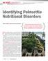 Identifying Poinsettia Nutritional Disorders