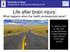Life after brain injury: What happens when the health professionals leave?