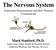 The Nervous System Mark Stanford, Ph.D.