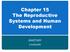 Chapter 15 The Reproductive Systems and Human Development. ANATOMY Loulousis