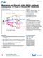 Maturation and Diversity of the VRC01-Antibody Lineage over 15 Years of Chronic HIV-1 Infection