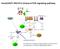 Insulin/IGF1-IRS-PI-3 kinase-mtor signaling pathway