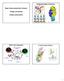 T-cell receptor feature. Antibody/antigen interaction. Major Histocompatibility Complex. Antigen processing. Antigen presentation