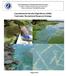 Cyanobacterial Harmful Algal Bloom (HABs) Freshwater Recreational Response Strategy