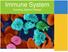 Immune System Guarding Against Disease