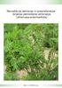 Navodila za zatiranje in preprečevanje širjenja pelinolistne ambrozije (Ambrosia artemisiifolia)