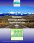 Montana Strategic Suicide Prevention Plan 2017
