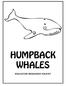 HUMPBACK WHALES EDUCATOR RESOURCE PACKET University of Akron Oceanography, N.D.Frankovits, Instructor Page 1