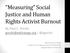 Measuring Social Justice and Human Rights Activist Burnout