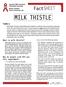 MILK THISTLE. FactSHEET. Summary. What is milk thistle? Why do people with HIV use this supplement?