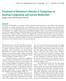 Treatment of Alzheimer s Disease: A Comparison of Racetam Compounds and Current Medication Jaeger Lam and Bryanna Graves