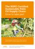 The RSPO Certified Sustainable Palm Oil Supply Chain: How to take part