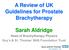 A Review of UK Guidelines for Prostate Brachytherapy. Sarah Aldridge. Head of Brachytherapy Physics Guy s & St. Thomas NHS Foundation Trust