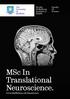 MSc In Translational Neuroscience.