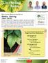 Dahlia, Cutting. Nutritional Monitoring Series. Target Nutrition Parameters. (Dahlia hybrida)
