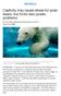 Captivity may cause stress for polar bears, but Arctic also poses problems