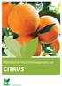 CITRUS. Nutritional recommendations for. Botanical description: Genus- Citrus L.