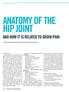 ANATOMY OF THE HIP JOINT And how it is related to groin pain