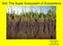 Soil: The Super Ecosystem of Ecosystems. NOFA-MASS Aug Jerry Brunetti
