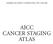 AMERICAN JOINT COMMITTEE ON CANCER AJCC CANCER STAGING