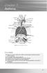 Asthma. chapter 7. Overview