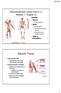 Muscle Tissue. Musculoskeletal System (Part A-3) Module 7 -Chapter 10 Overview Muscles