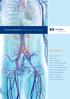 Iliac Solutions. Arterial Venous Neurovascular. Wholey Guidewire System. Nitrex Guidewires. TrailBlazer Support Catheter